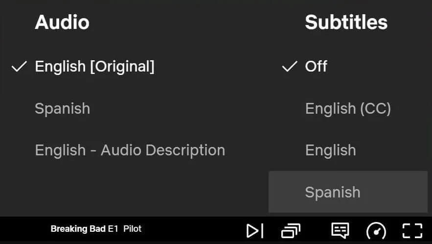 Netflix Subtitles