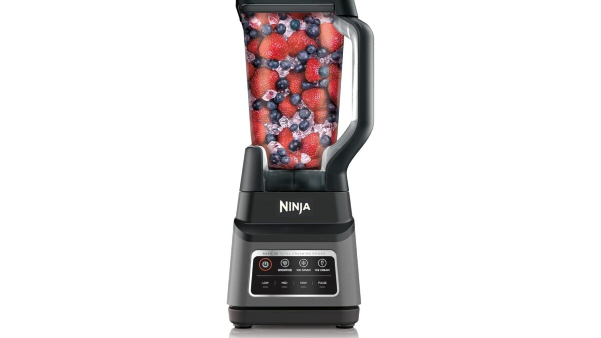 Ninja Practically Gives Away Its Professional Plus Blender at Near ...