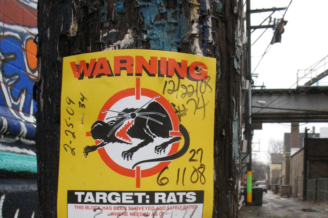 A Billionaire Is Fueling a Rat Explosion in a Chicago Park in the Stupidest Way Possible