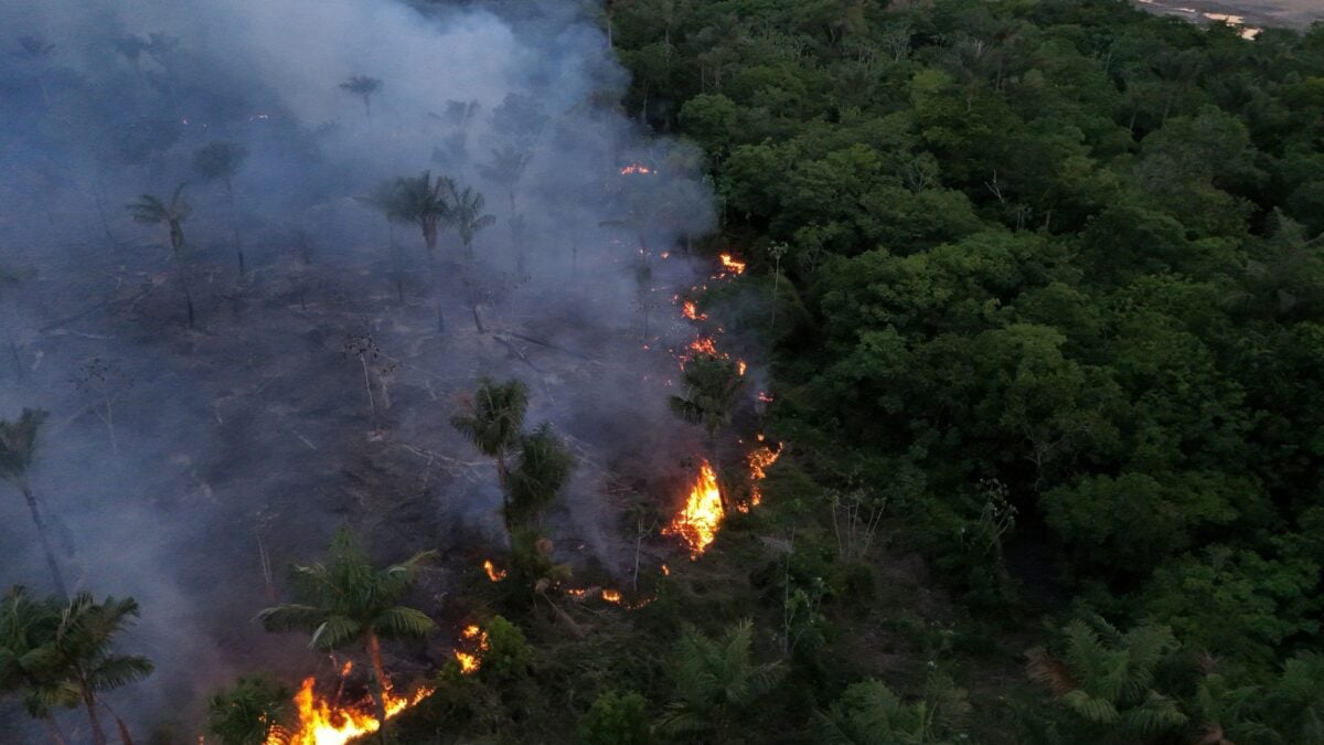 The Super El Niño Hasn’t Even Peaked, and It’s Already Burning Up the Amazon
