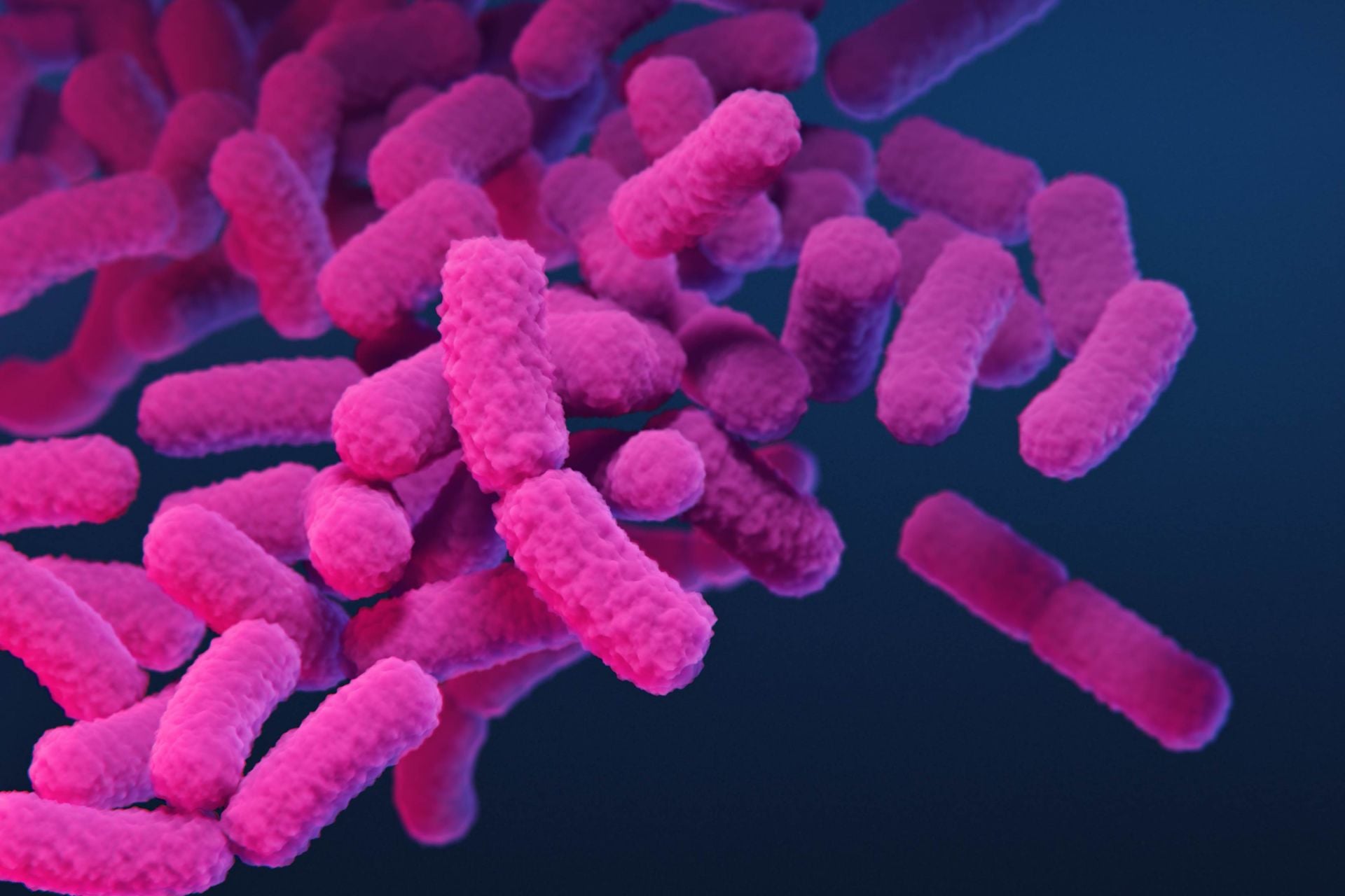 A medical illustration of carbapenem-resistant Enterobacteriaceae (CRE) bacteria