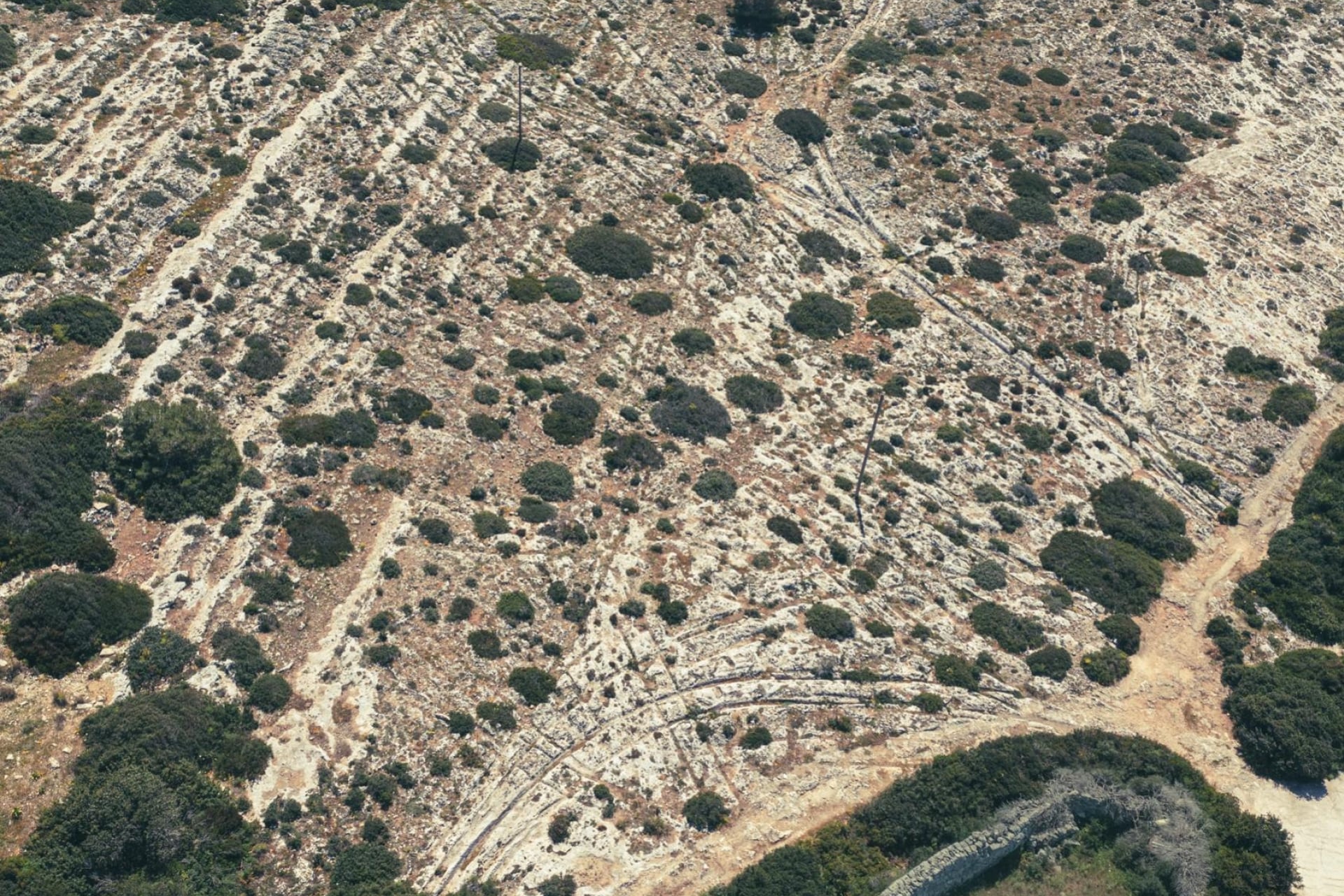 A dense cluster of overlapping cart ruts at Misraħ Għar il-Kbir, Malta.