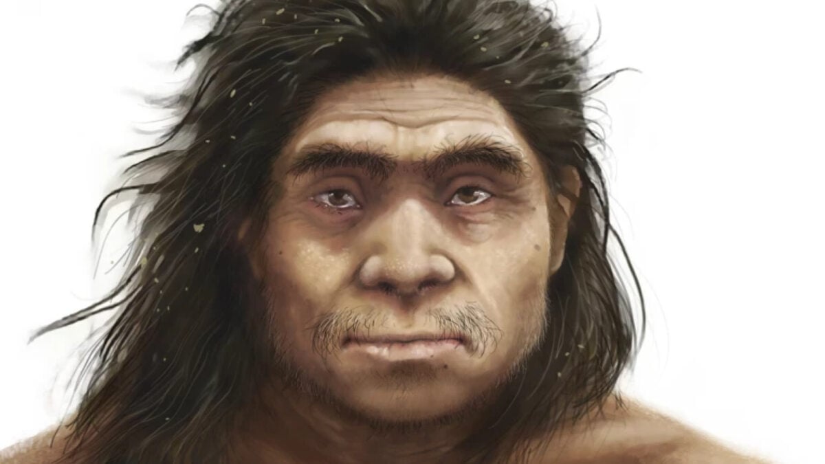 This Is What Our Mysterious Denisovan Cousins Probably Looked Like