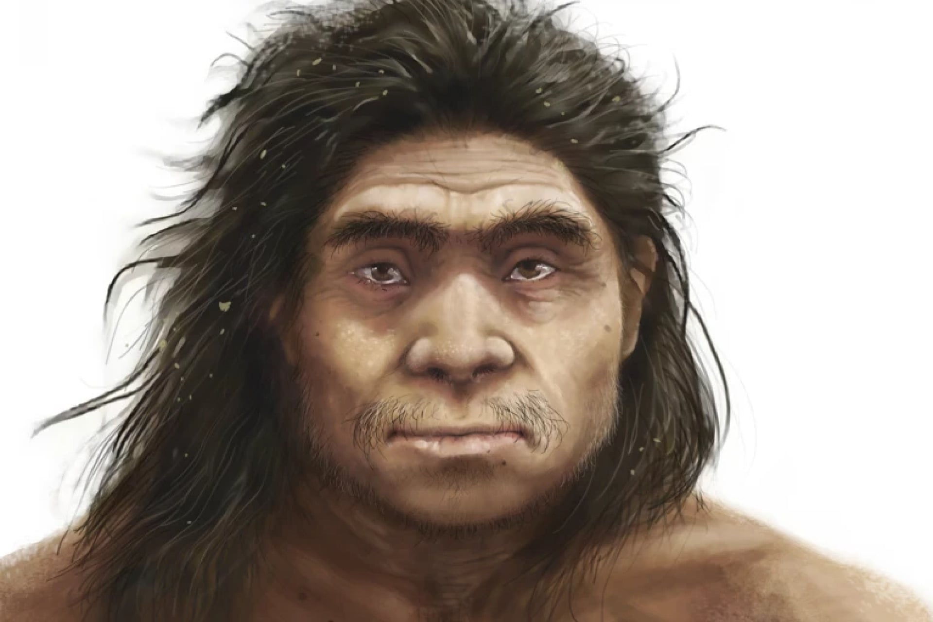 An illustrated reconstruction of a Denisovan, provided by the authors.