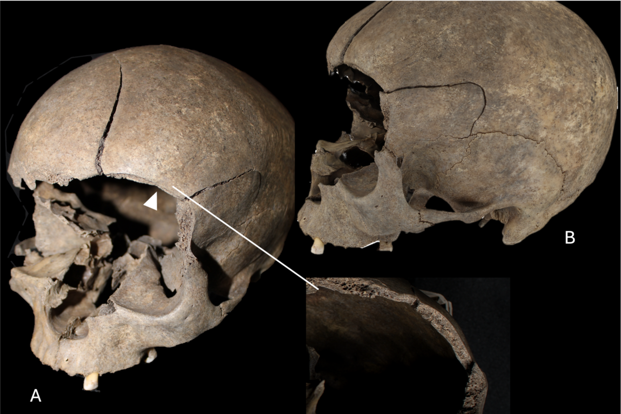 Iron and Viking Age Scandinavians Kept Their Victims’ Bones Around the House