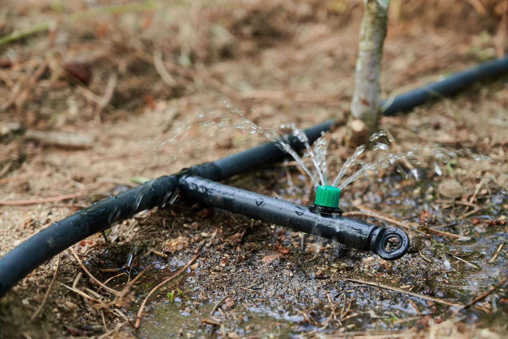 Agricultural irrigation is driving groundwater depletion around the world.