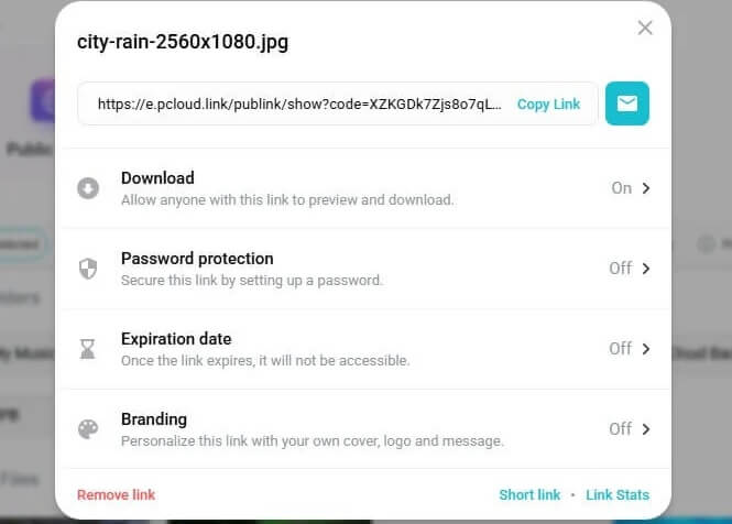 Pcloud File Sharing