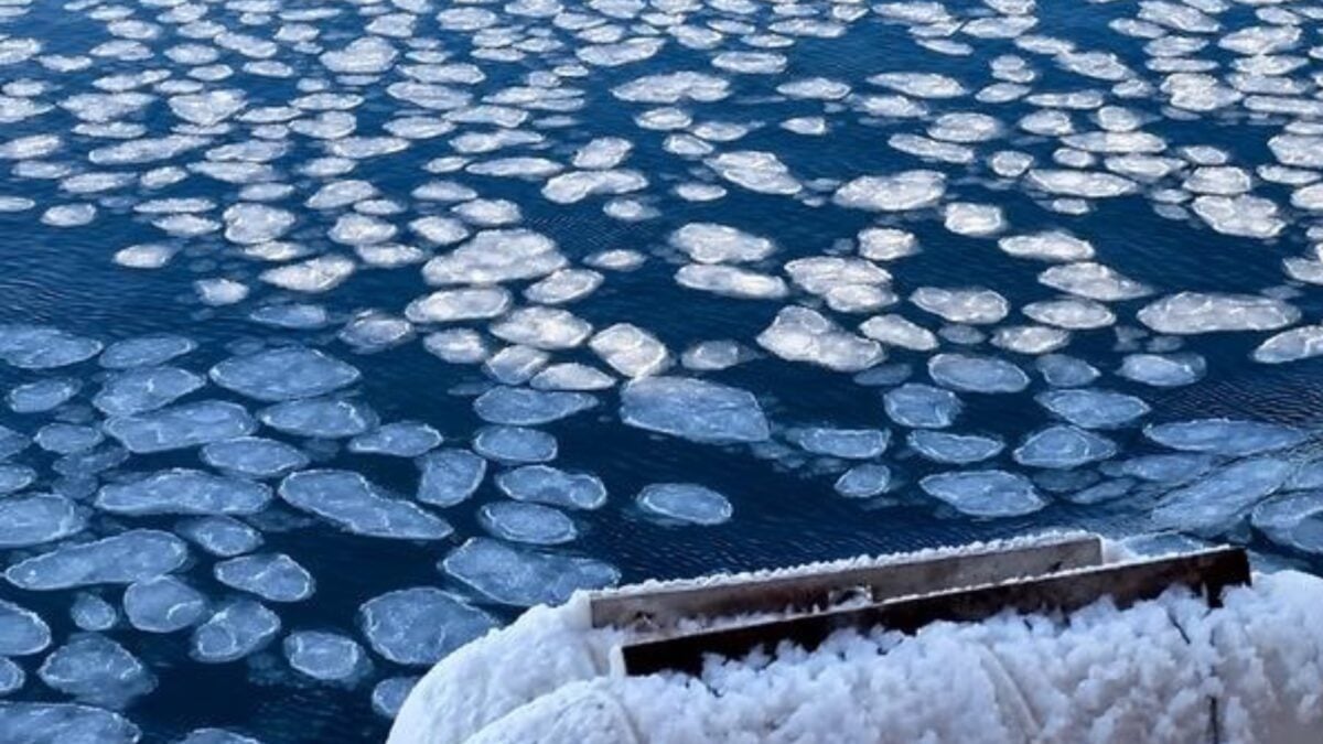 Scientists Sound Alarm as Antarctica’s Ocean Grows Saltier for the First Time in 130,000 Years Scientists Sound Alarm as Antarctica’s Ocean Grows Saltier for the First Time in 130,000 Years