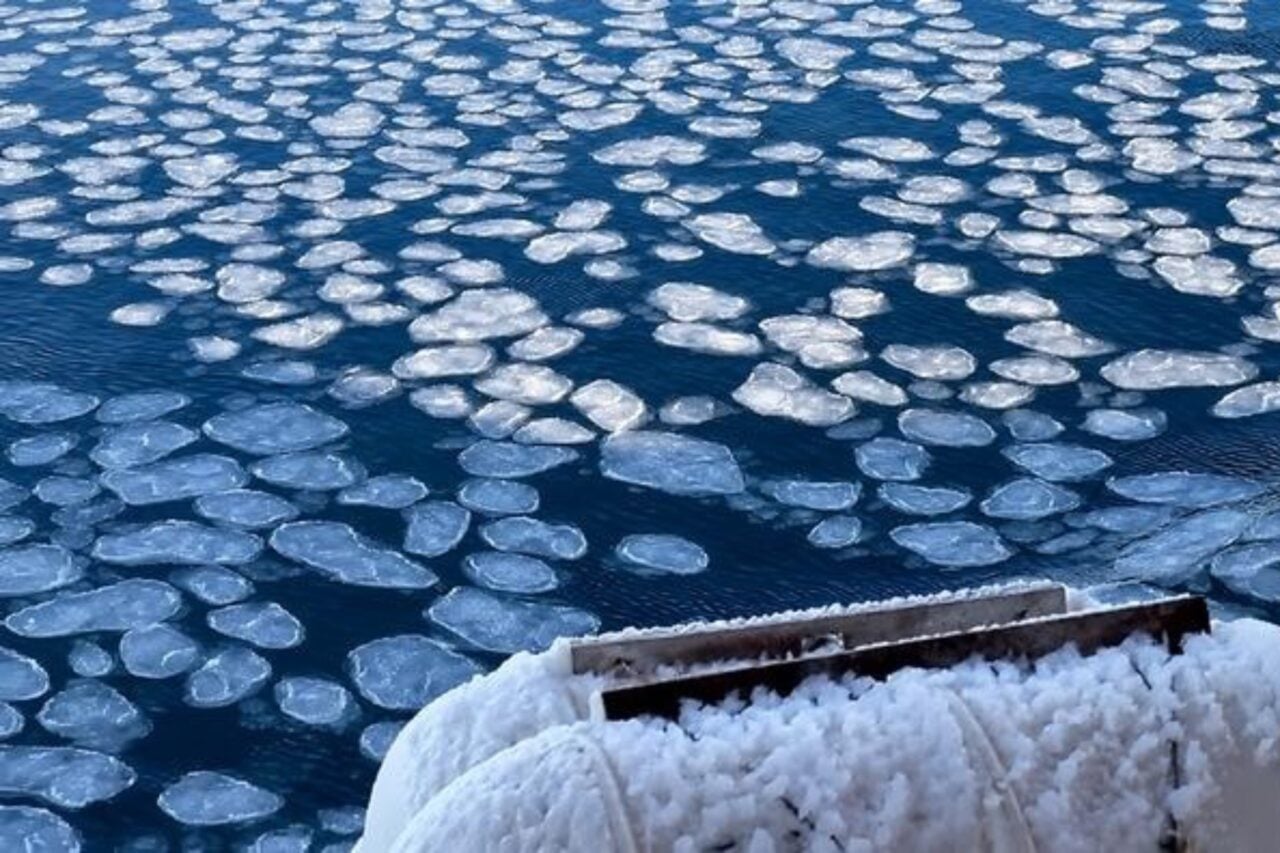 Scientists Sound Alarm as Antarctica’s Ocean Grows Saltier for the First Time in 130,000 Years