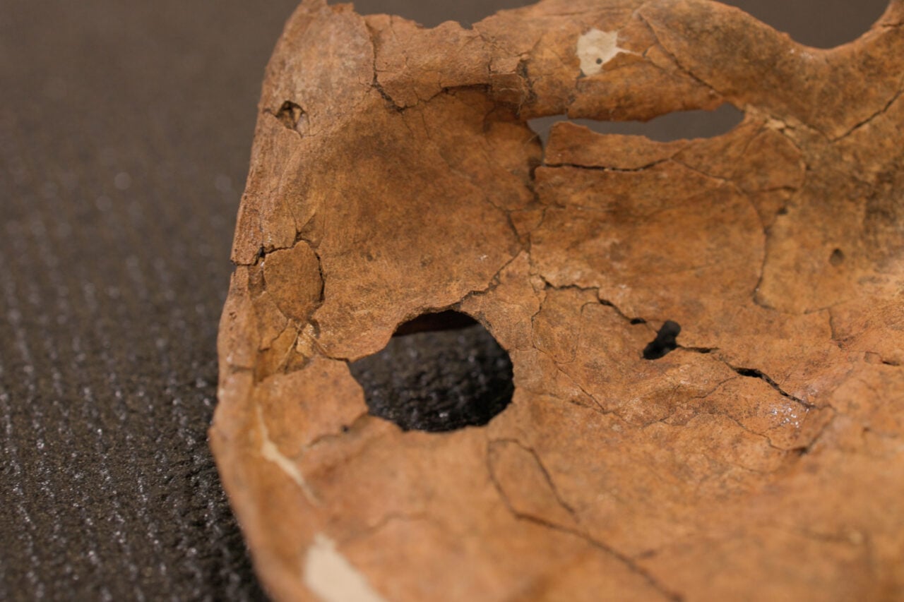 Bir Mızrak Yarası Muhtemelen Bu Neandertal'i Öldürdü, Ama Çok İnsani Bir Hikaye Anlatıyor