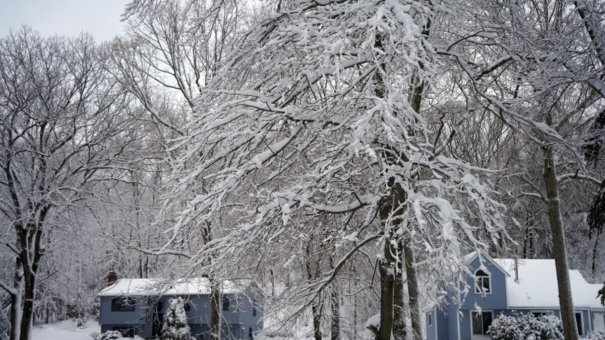 New Maps Show How Drastically This Year’s ‘Super’ El Niño Could Influence Winter Weather in the US