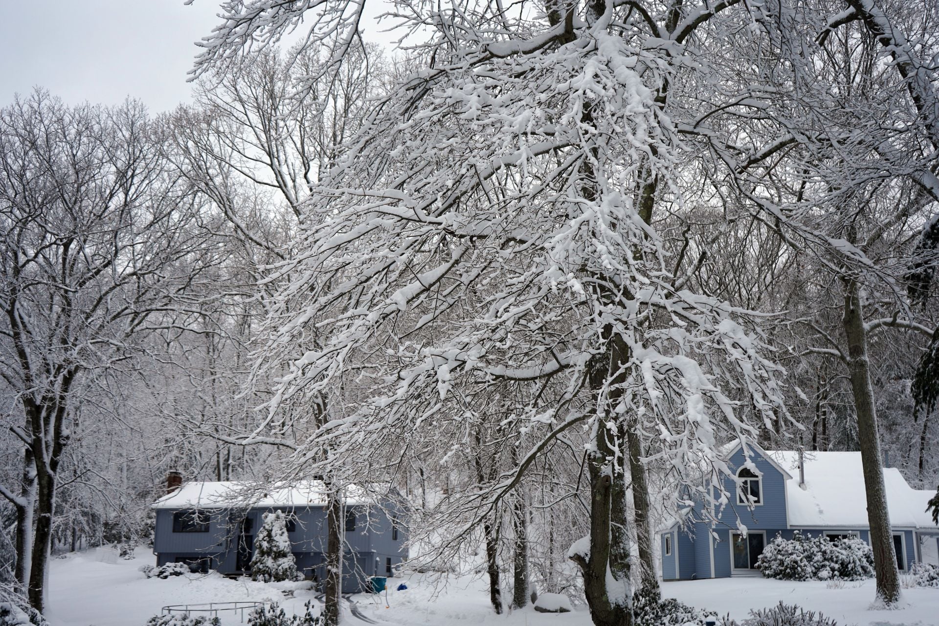Winter is coming, and El Niño will be a driving force behind the season's weather patterns.