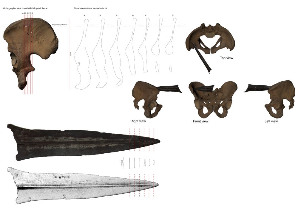Velsen Well Skeleton 3d Reconstructions