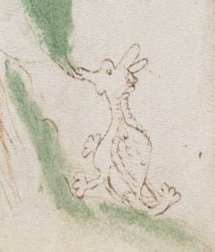 Voynich Dragon