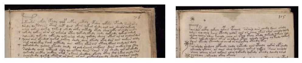 Voynich Enlarged Glyphs Davis Et Al