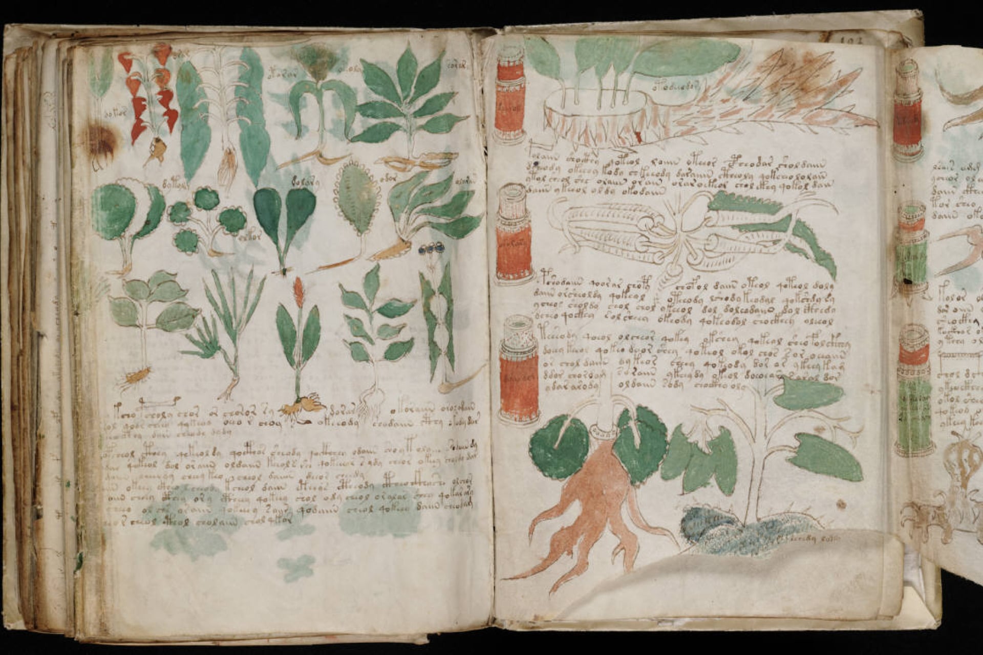 A page from the mysterious Voynich manuscript, which is undeciphered to this day.