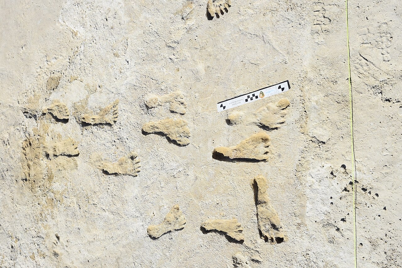 White Sands Footprints